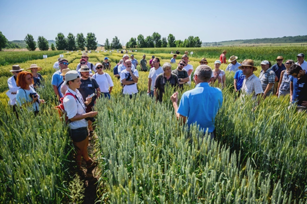 Mreža EIP AGRI projekt